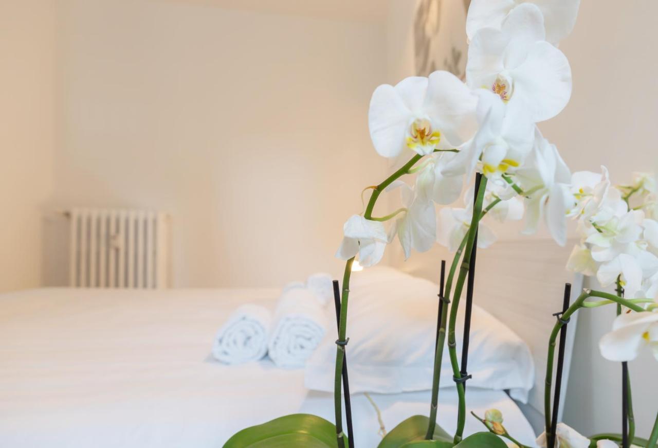 Fondazione Prada - Exclusive Loft Of Cinema ☆☆☆☆☆ Apartment *